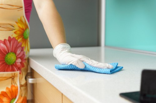 Window cleaner serving residential properties in Hammersmith