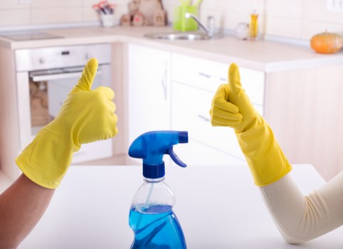 Technician treating a pet urine stain in a Hammersmith home