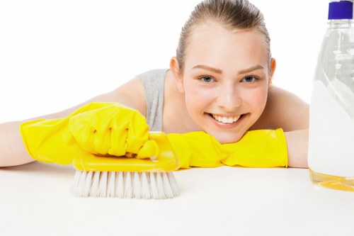 Pet stain and smell removal treatment for a Hammersmith property