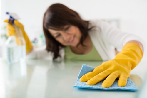 Environmentally responsible carpet cleaning service in Hammersmith