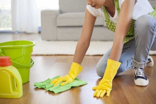 Bin area and corridor cleaning for a Hammersmith apartment building